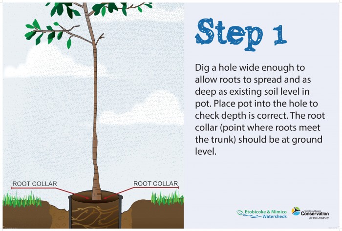 trees our best friends essay in gujarati Trees our best friend the only solution of the environmental problems is the protection of trees tree conservation essay trees the most valuable. trees our best friends essay in gujarati Trees our best friend the only solution of the environmental problems is the protection of trees tree conservation essay trees the most valuable.