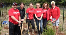 Woodbine employees take part in Partners in Project Green community planting